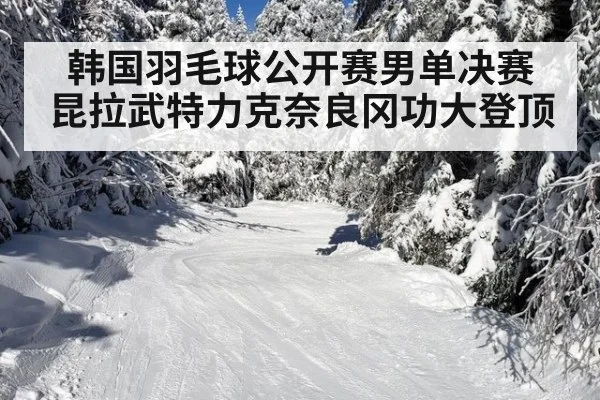 韩国羽毛球公开赛男单决赛 昆拉武特力克奈良冈功大登顶