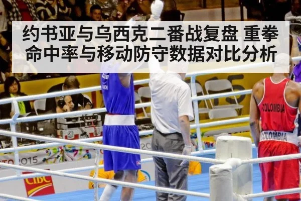 约书亚与乌西克二番战复盘 重拳命中率与移动防守数据对比分析